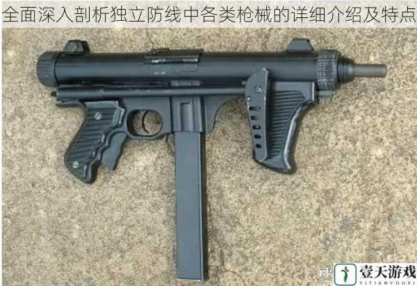 全面深入剖析独立防线中各类枪械的详细介绍及特点