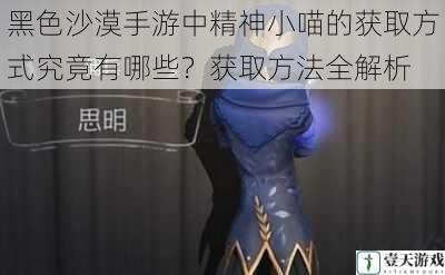 黑色沙漠手游中精神小喵的获取方式究竟有哪些?获取方法全解析