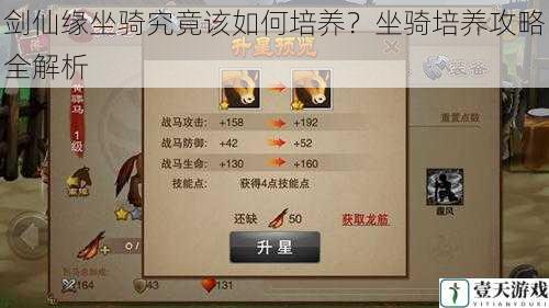 剑仙缘坐骑究竟该如何培养?坐骑培养攻略全解析