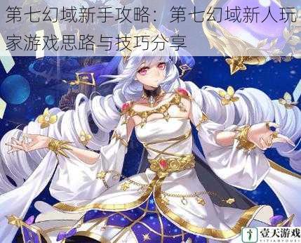 第七幻域新手攻略:第七幻域新人玩家游戏思路与技巧分享