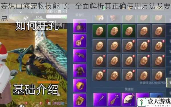 妄想山海宠物技能书:全面解析其正确使用方法及要点