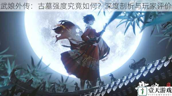 武娘外传:古墓强度究竟如何?深度剖析与玩家评价