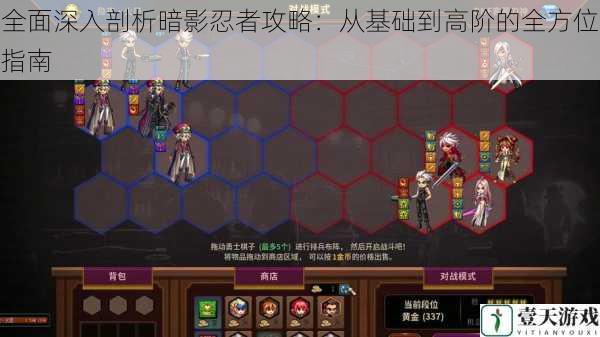 全面深入剖析暗影忍者攻略:从基础到高阶的全方位指南