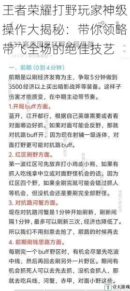 王者荣耀打野玩家神级操作大揭秘:带你领略带飞全场的绝佳技艺