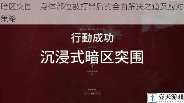 暗区突围:身体部位被打黑后的全面解决之道及应对策略