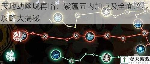 天地劫幽城再临:紫蕴五内加点及全面培养攻略大揭秘