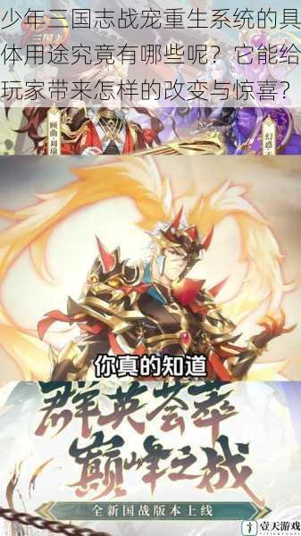 少年三国志战宠重生系统的具体用途究竟有哪些呢?它能给玩家带来怎样的改变与惊喜?