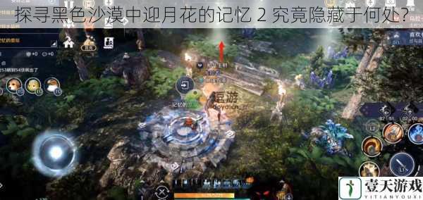 探寻黑色沙漠中迎月花的记忆 2 究竟隐藏于何处?