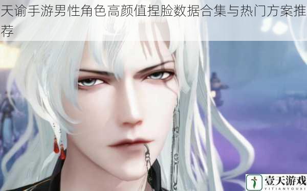 天谕手游男性角色高颜值捏脸数据合集与热门方案推荐