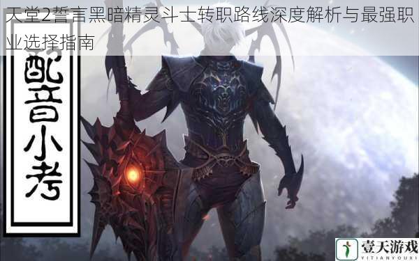 天堂2誓言黑暗精灵斗士转职路线深度解析与最强职业选择指南