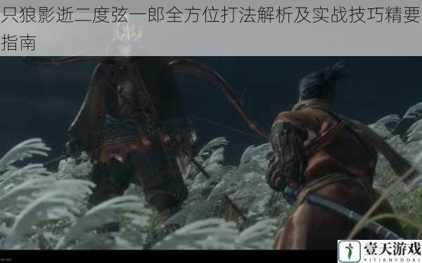 只狼影逝二度弦一郎全方位打法解析及实战技巧精要指南