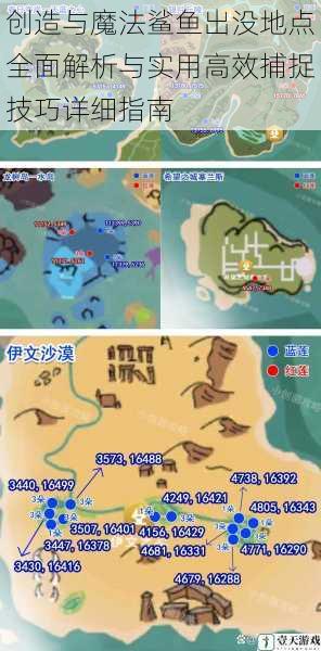 创造与魔法鲨鱼出没地点全面解析与实用高效捕捉技巧详细指南