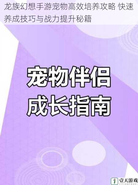 龙族幻想手游宠物高效培养攻略 快速养成技巧与战力提升秘籍