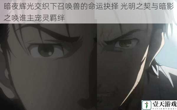 暗夜辉光交织下召唤兽的命运抉择 光明之契与暗影之唤谁主宠灵羁绊