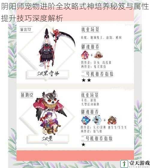 阴阳师宠物进阶全攻略式神培养秘笈与属性提升技巧深度解析