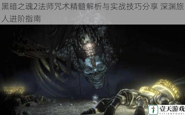 黑暗之魂2法师咒术精髓解析与实战技巧分享 深渊旅人进阶指南