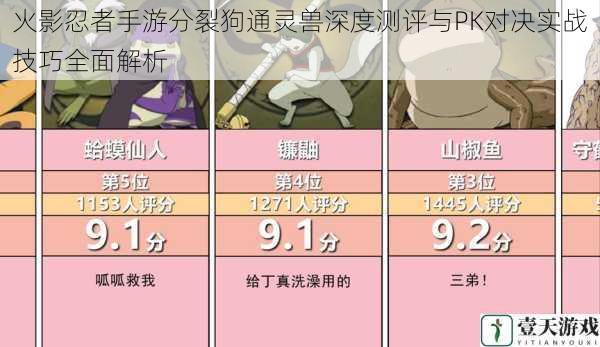 火影忍者手游分裂狗通灵兽深度测评与PK对决实战技巧全面解析