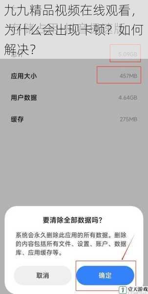 九九精品视频在线观看,为什么会出现卡顿?如何解决?