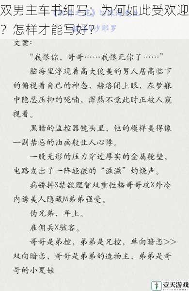 双男主车书细写:为何如此受欢迎?怎样才能写好?