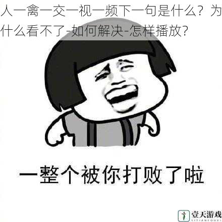 人一禽一交一视一频下一句是什么?为什么看不了-如何解决-怎样播放?