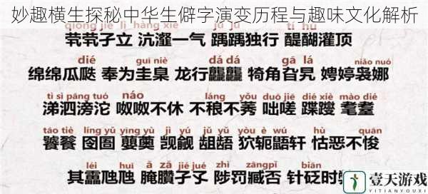 妙趣横生探秘中华生僻字演变历程与趣味文化解析
