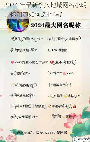2024 年最新永久地域网名小明,你知道如何选择吗?
