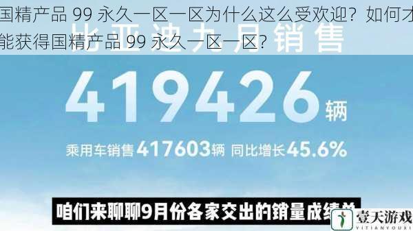 国精产品 99 永久一区一区为什么这么受欢迎?如何才能获得国精产品 99 永久一区一区?