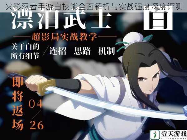 火影忍者手游白技能全面解析与实战强度深度评测