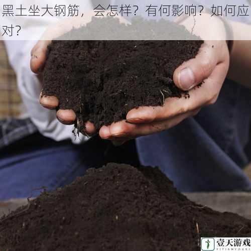 黑土坐大钢筋,会怎样?有何影响?如何应对?