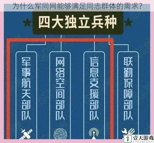 为什么军同网能够满足同志群体的需求?