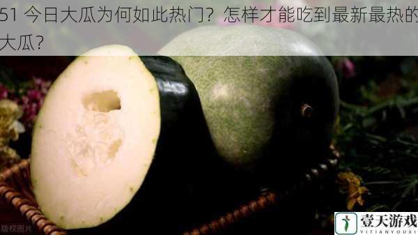 51 今日大瓜为何如此热门?怎样才能吃到最新最热的大瓜?