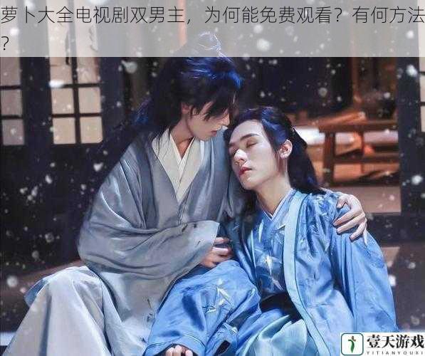 萝卜大全电视剧双男主,为何能免费观看?有何方法?
