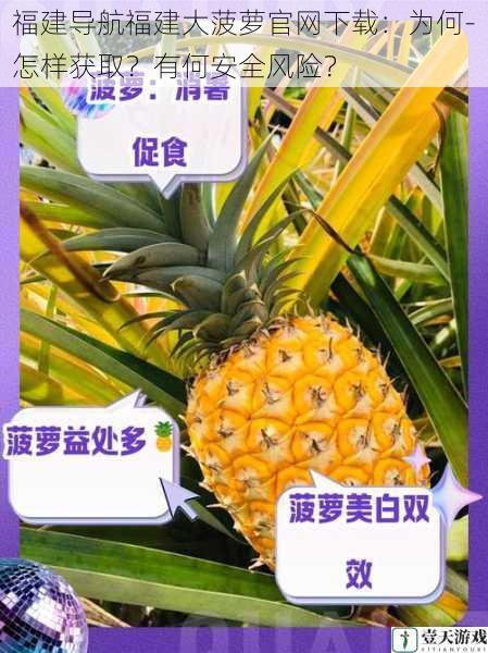 福建导航福建大菠萝官网下载:为何-怎样获取?有何安全风险?