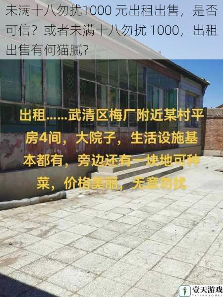 未满十八勿扰1000 元出租出售,是否可信?或者未满十八勿扰 1000,出租出售有何猫腻?