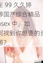 在 99 久久婷婷国产综合精品 hsex 中,如何找到你想要的资源?