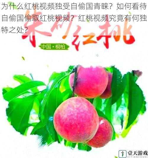 为什么红桃视频独受自偷国青睐?如何看待自偷国偷取红桃视频?红桃视频究竟有何独特之处?