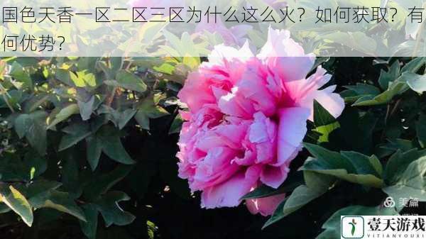 国色天香一区二区三区为什么这么火?如何获取?有何优势?