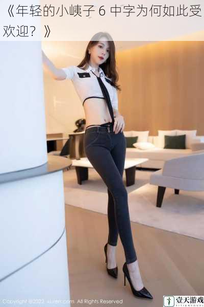 《年轻的小峓子 6 中字为何如此受欢迎?》