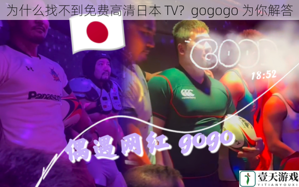 为什么找不到免费高清日本 TV?gogogo 为你解答