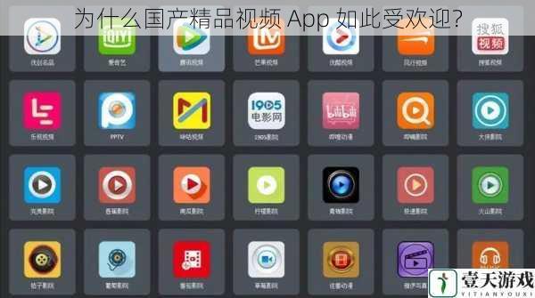 为什么国产精品视频 App 如此受欢迎?
