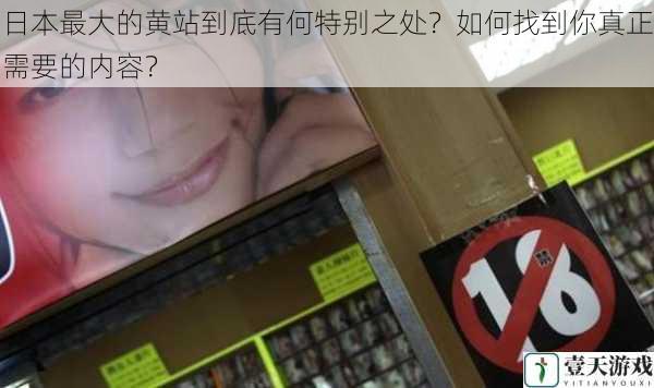 日本最大的黄站到底有何特别之处?如何找到你真正需要的内容?