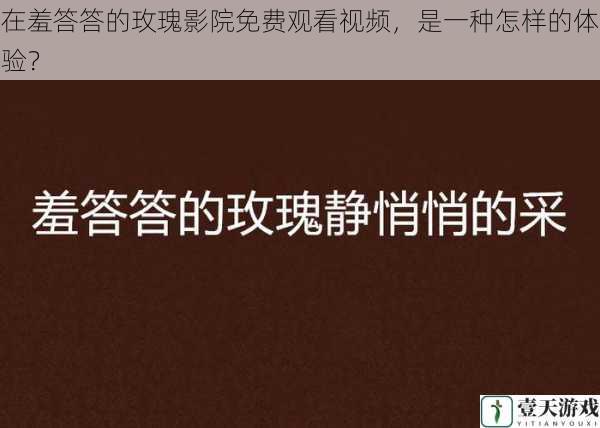 在羞答答的玫瑰影院免费观看视频,是一种怎样的体验?