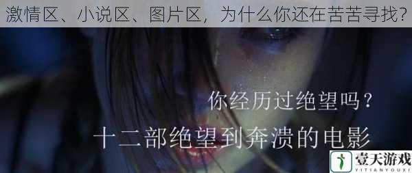 激情区、小说区、图片区,为什么你还在苦苦寻找?