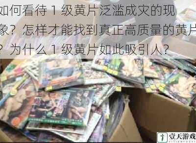 如何看待 1 级黄片泛滥成灾的现象?怎样才能找到真正高质量的黄片?为什么 1 级黄片如此吸引人?