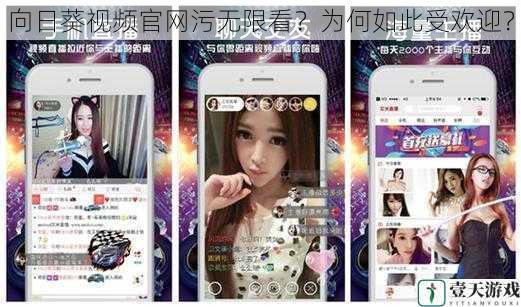 向日葵视频官网污无限看?为何如此受欢迎?