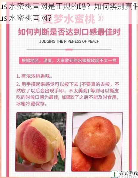 lus 水蜜桃官网是正规的吗？如何辨别真假 lus 水蜜桃官网？