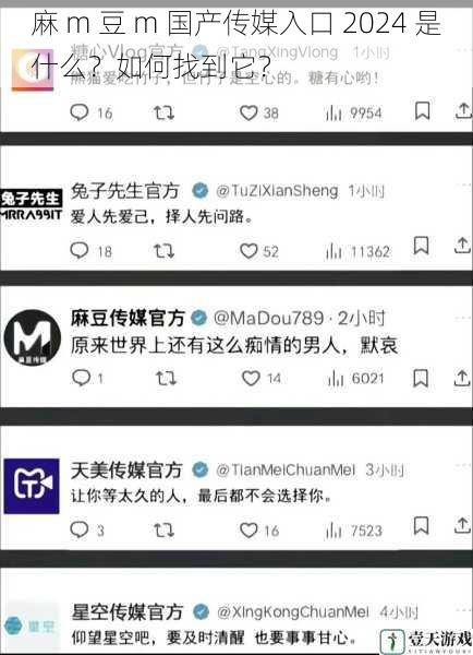 麻 m 豆 m 国产传媒入口 2024 是什么?如何找到它?