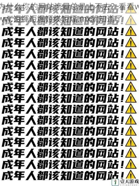 为什么你的网站流量总是上不去？看看www.饾煇饾煈饾煐饾煏.mx就知道了