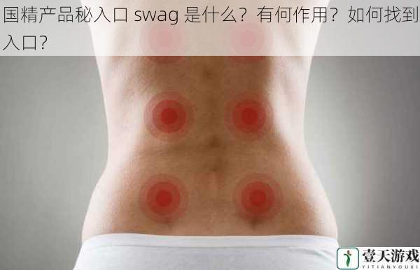 国精产品秘入口 swag 是什么?有何作用?如何找到入口?