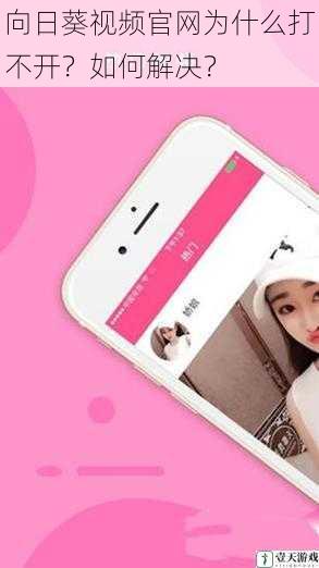 向日葵视频官网为什么打不开?如何解决?